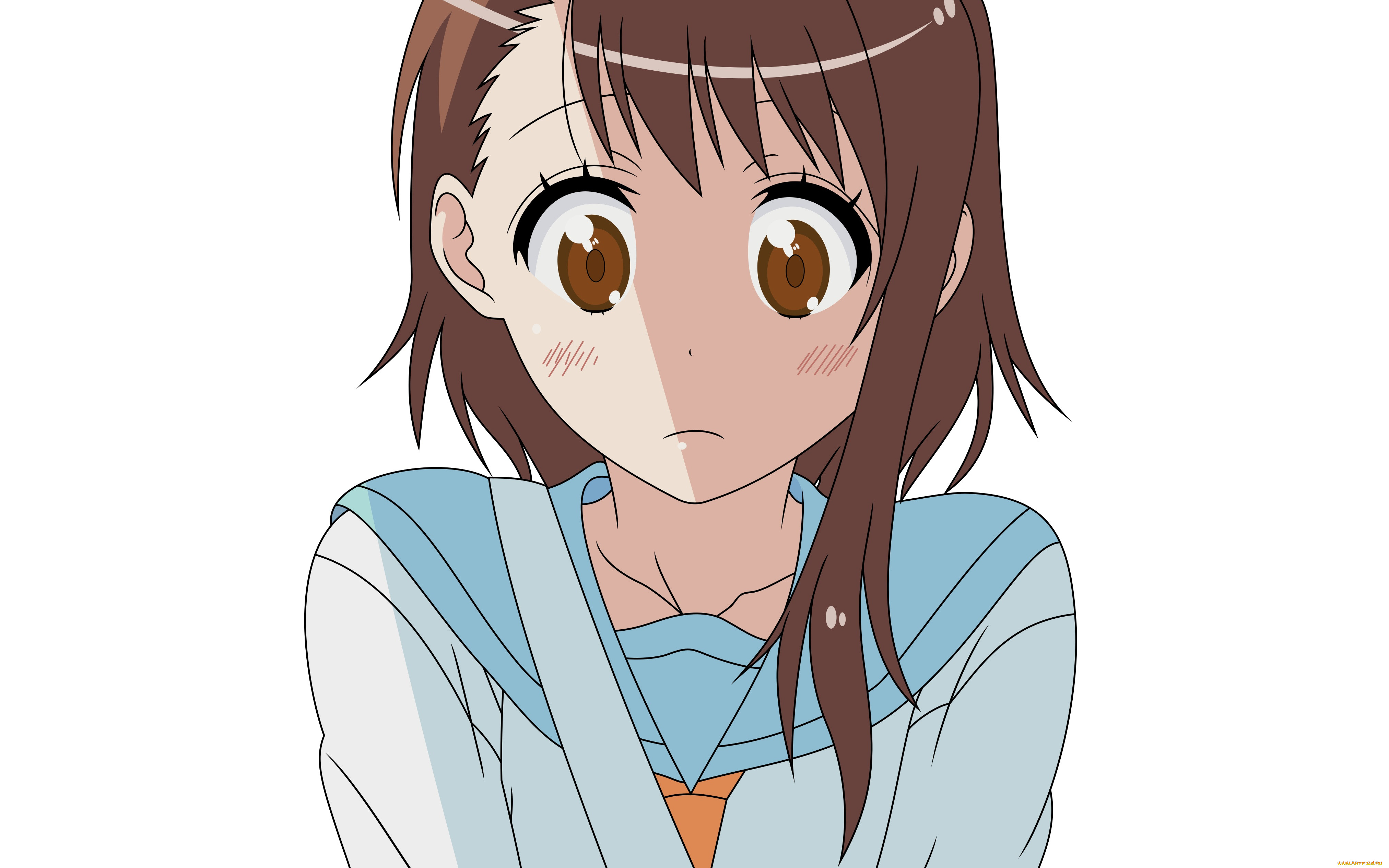 , nisekoi, , , 